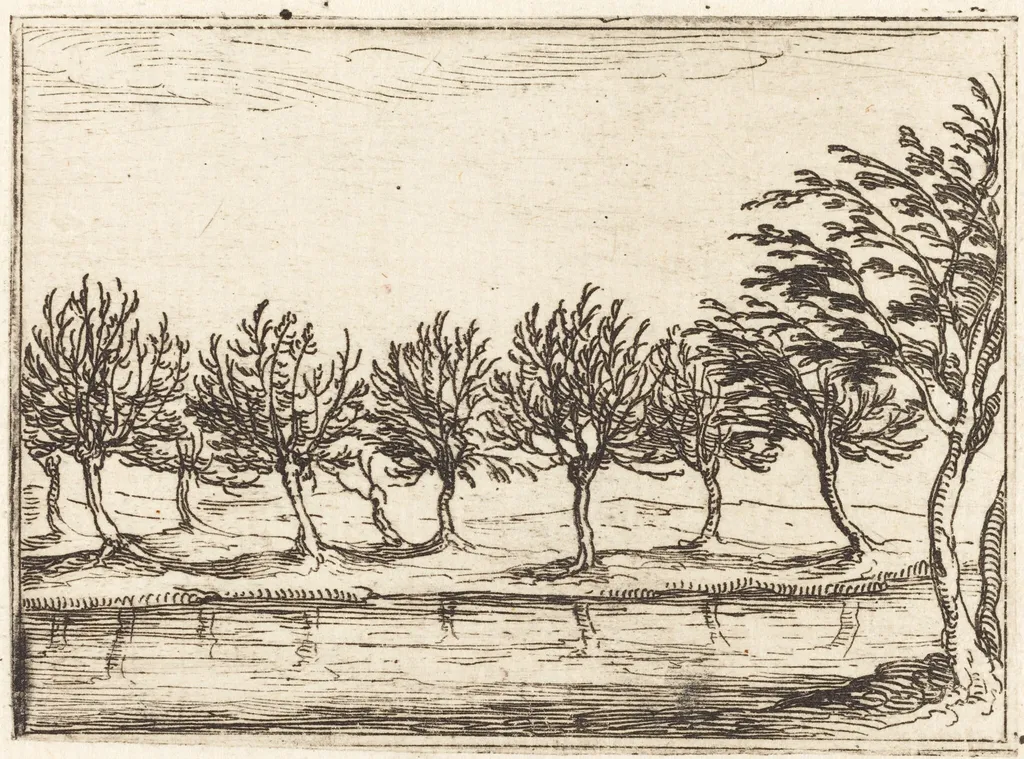 Willows by the Water's Edge, by Jacques Callot, ink, 1628