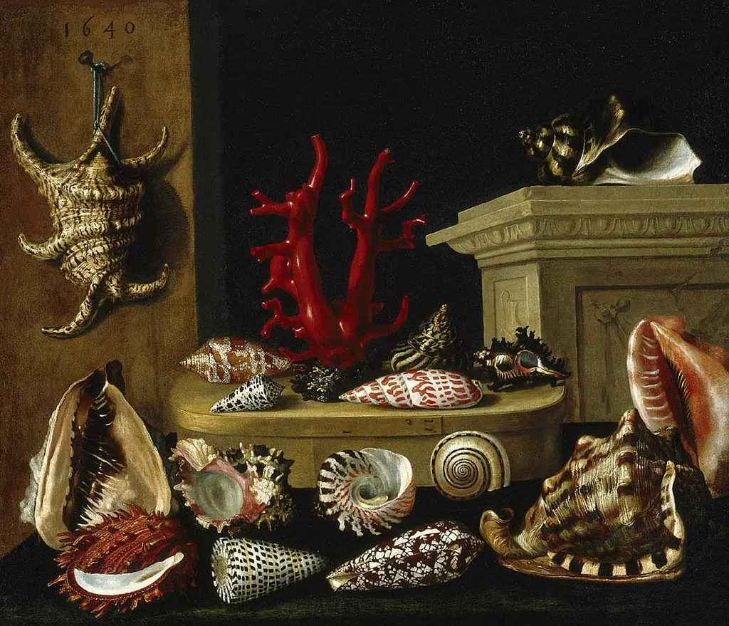 Still life with shells, by Jacques Linard, oil, 1640