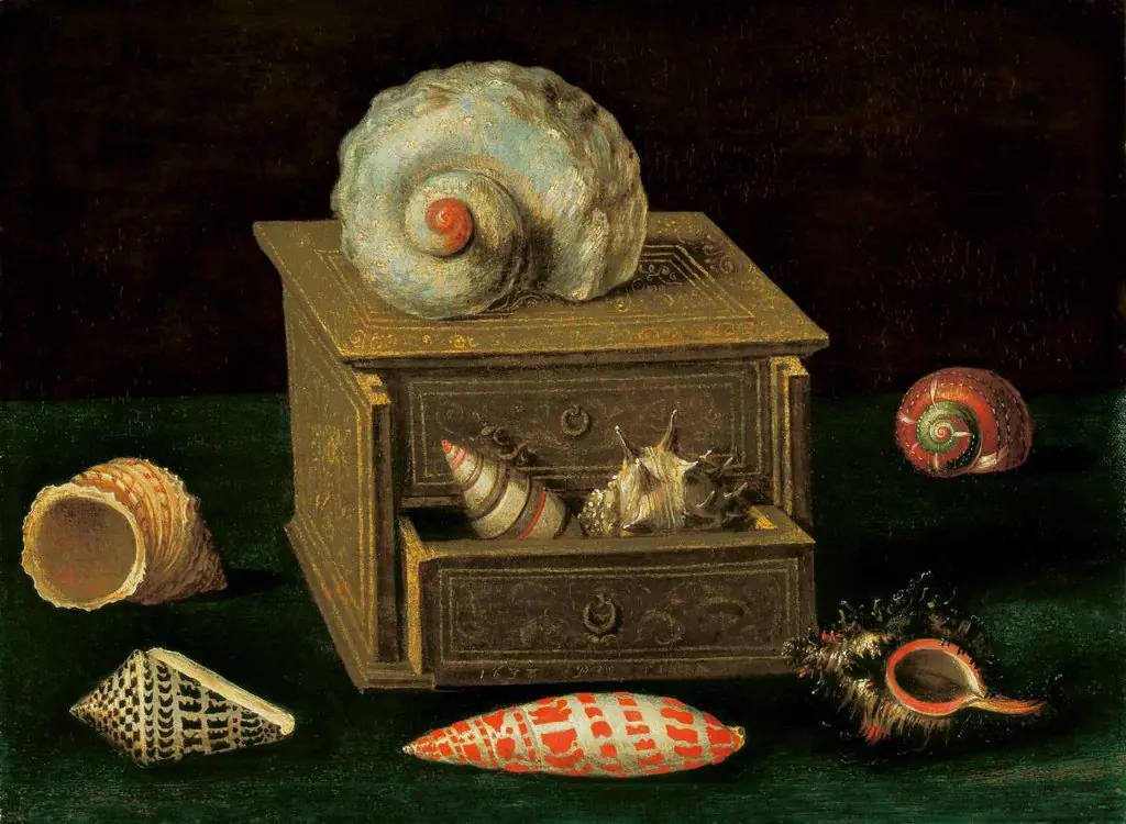 Stilleben mit Meerschnecken, by Jacques Linard