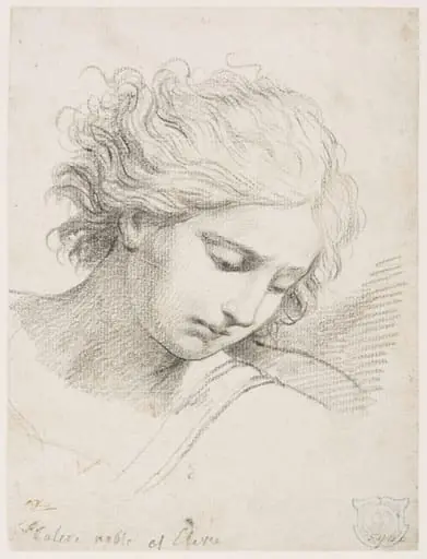 Study of the head of St. Michael, by Jacques-Louis David