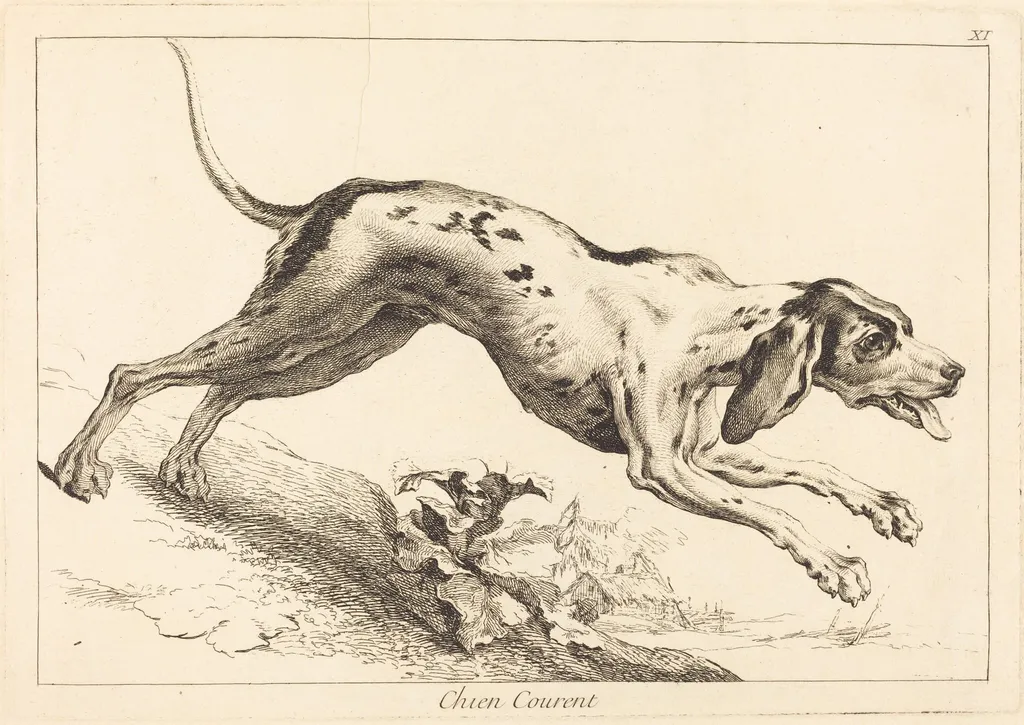 Chien courent (Running Hound), by Jacques-Philippe Le Bas, ink, 1745