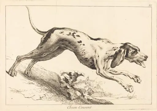 Chien courent (Running Hound), by Jacques-Philippe Le Bas