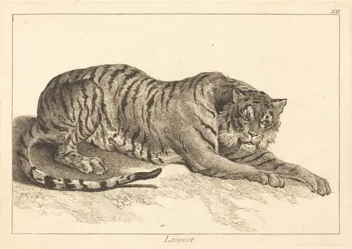 Leopart (Leopard or Tiger), by Jacques-Philippe Le Bas