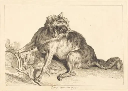 Loup pris au piege (Wolf Caught in a Trap), by Jacques-Philippe Le Bas