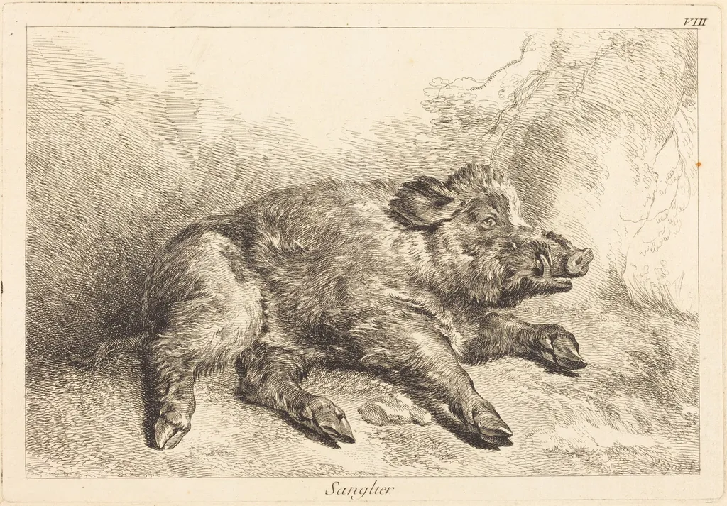 Sanglier (Wild Boar Lying Down, Head to the Right), by Jacques-Philippe Le Bas, ink, 1745