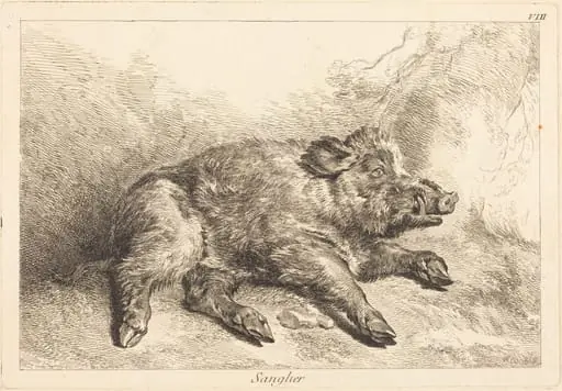Sanglier (Wild Boar Lying Down, Head to the Right), by Jacques-Philippe Le Bas
