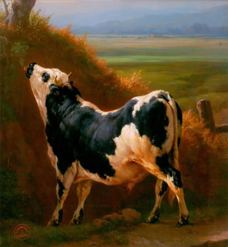 A Bull in a Normandy Pasture, by Jacques Raymond Brascassat