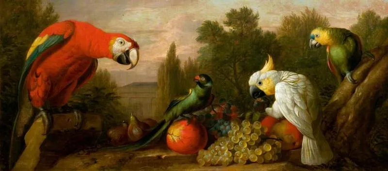 Composition with Parrots and Fruit, by Jakob Bogdani, oil, 1701
