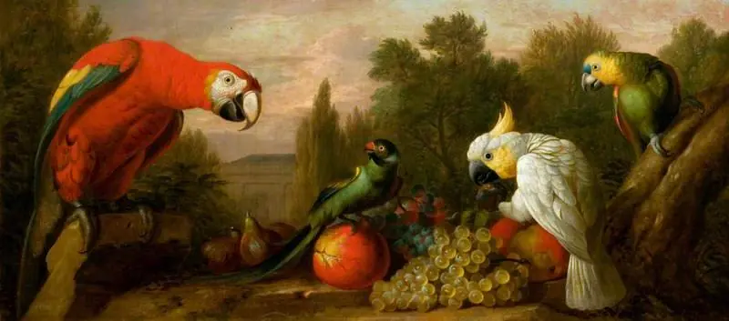 Composition with Parrots and Fruit, by Jakob Bogdani
