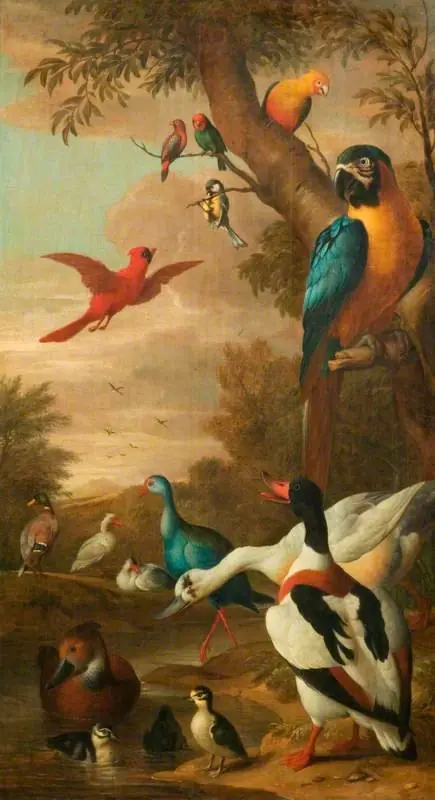 Farm Birds, by Jakob Bogdani