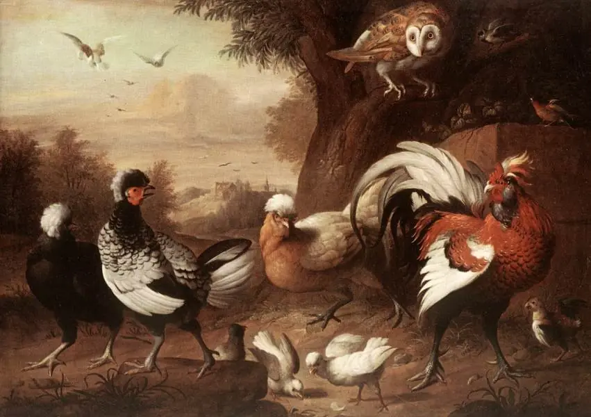 Fowls and Owl, by Jakob Bogdani