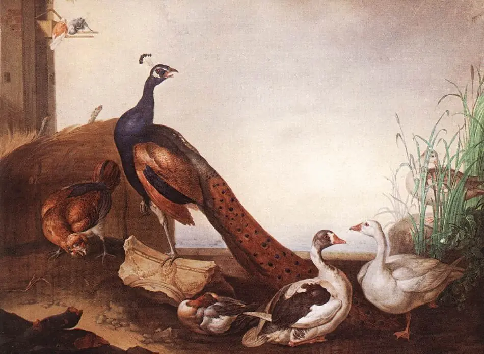 Peacock with Geese and Hen, by Jakob Bogdani