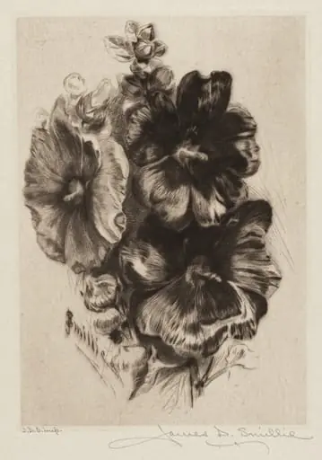 Dark Single Hollyhocks, by James David Smillie