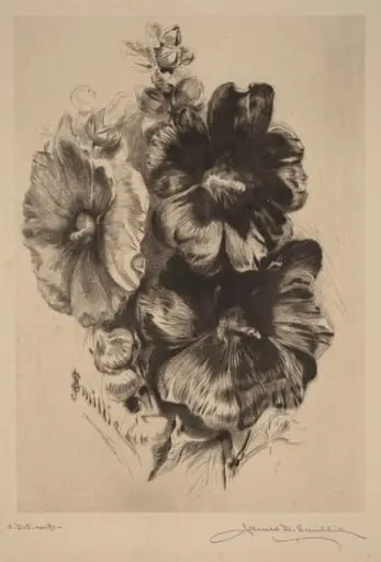 Dark Single Hollyhocks, by James David Smillie