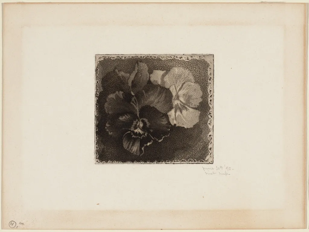 Pansies, by James David Smillie, ink, 1890