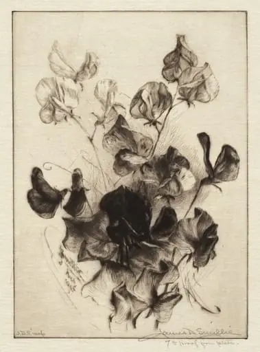 Sweet Peas, by James David Smillie