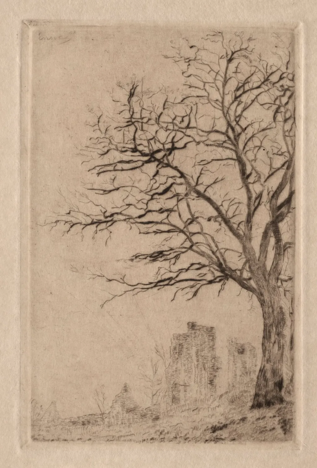 Acacia, by James Ensor, 1888