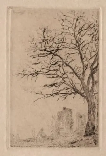 Acacia, by James Ensor
