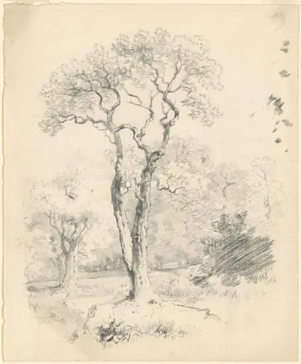 A Glade of Trees, by James Goodwyn Clonney