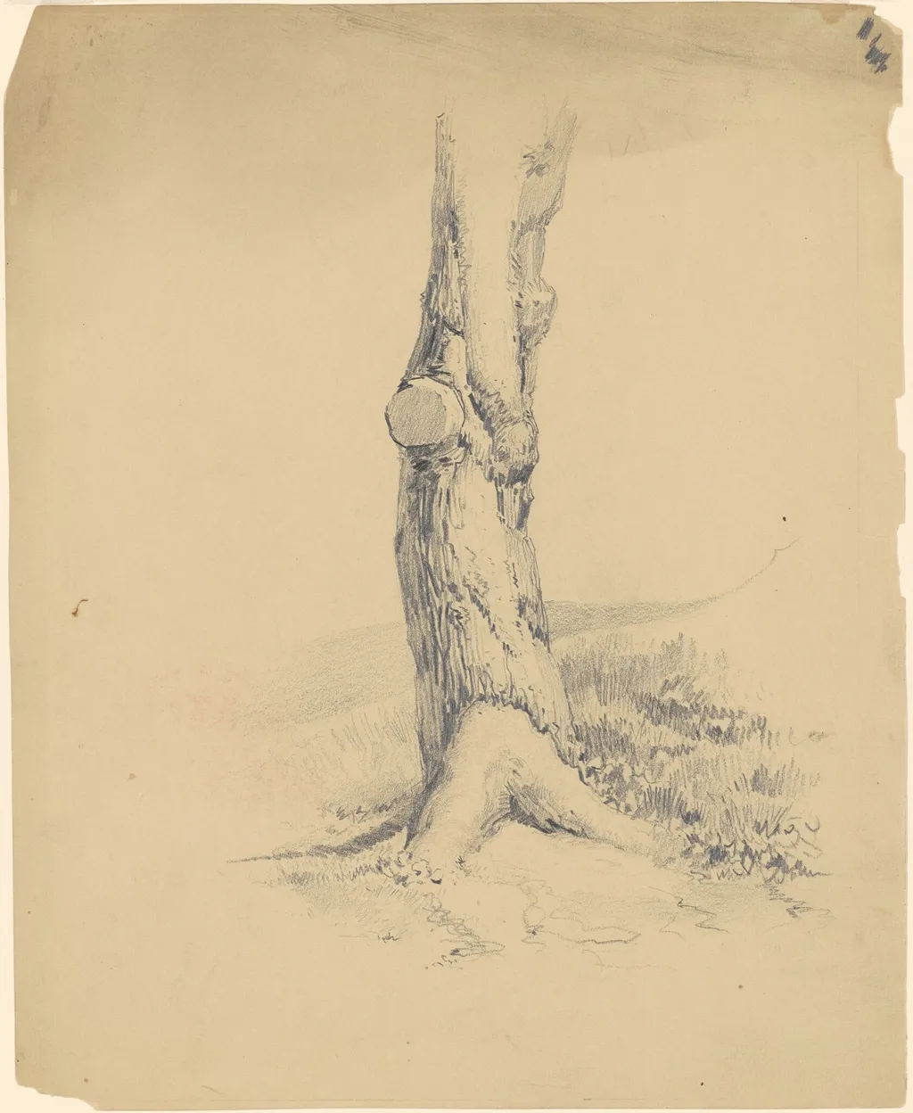 Old Tree Trunk, by James Goodwyn Clonney, graphite, 1839