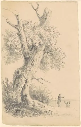 Tree Near the Shore, by James Goodwyn Clonney