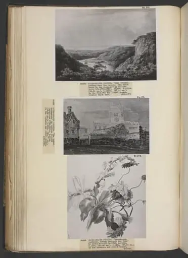 Group of flowers, by James Hewlett