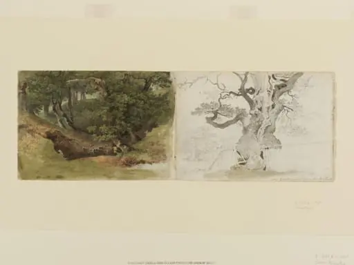 Windsor Forest, by James Holworthy