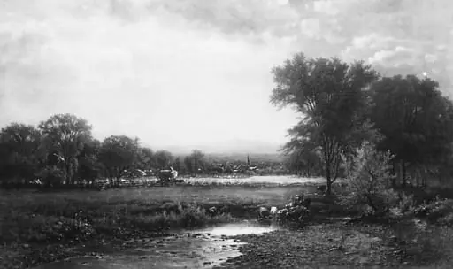 Pasture Scene