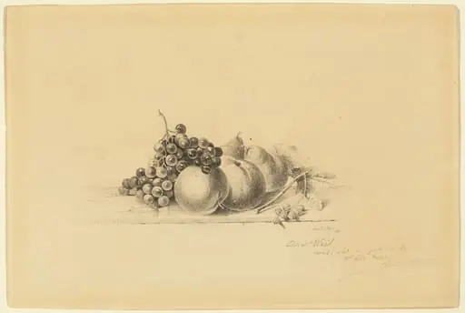 Still Life with Fruit, by James McDougal Hart