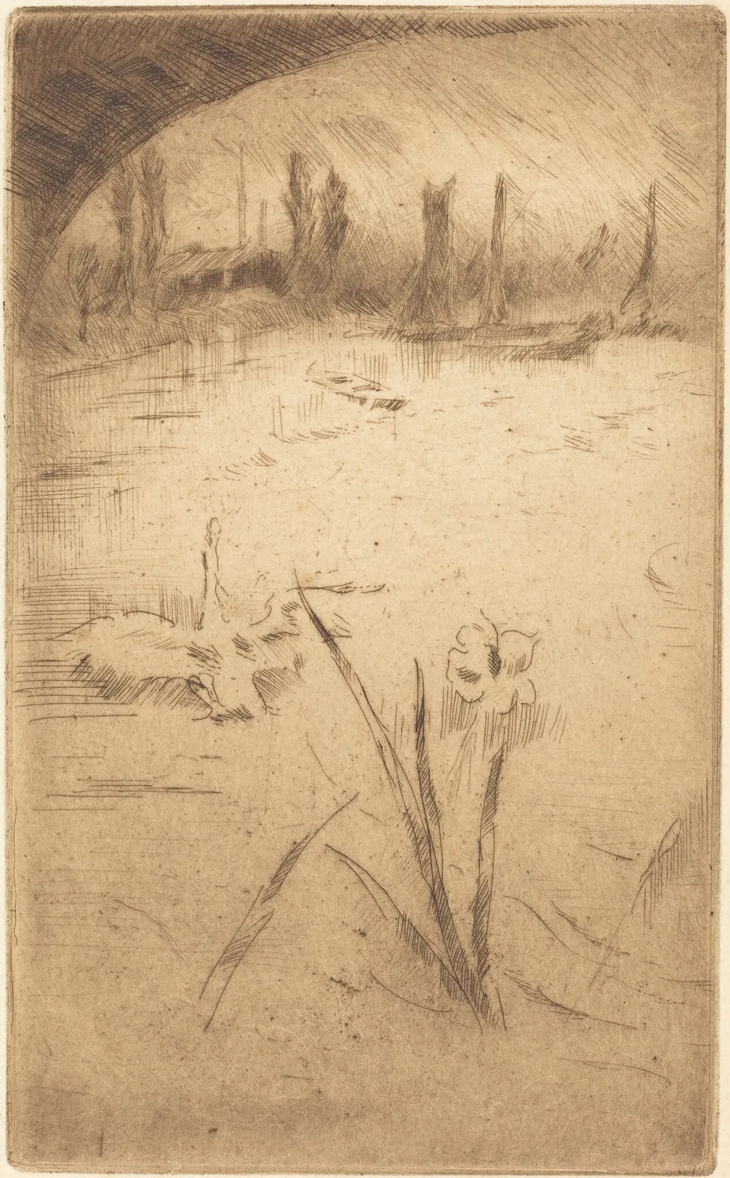 Swan and Iris, by James McNeill Whistler, ink, 1883