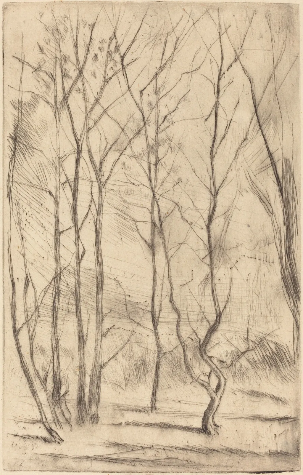 The Dam Wood, by James McNeill Whistler, ink, 1875