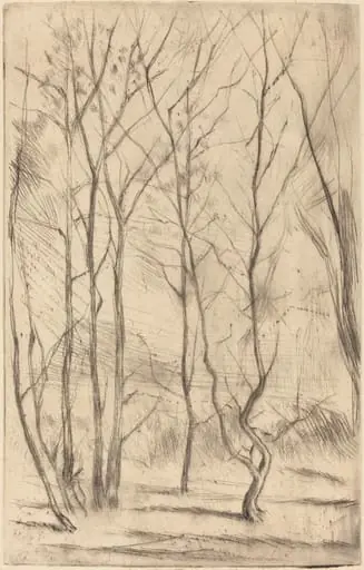 The Dam Wood, by James McNeill Whistler