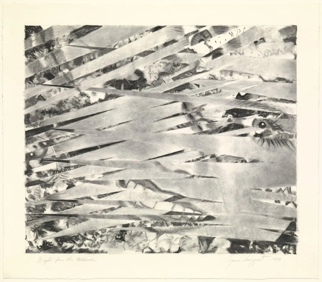 Untitled, by James Rosenquist, charcoal, 1984