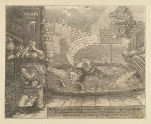 H Beard Print Collection