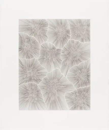 Untitled, by James Siena