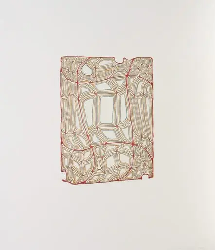 Untitled, by James Siena