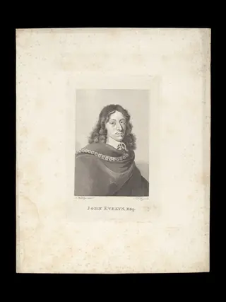 H Beard Print Collection