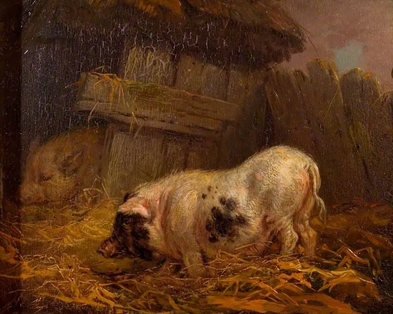 A Chinese Sow, by James Ward