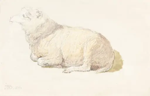 A Sheep Resting, by James Ward