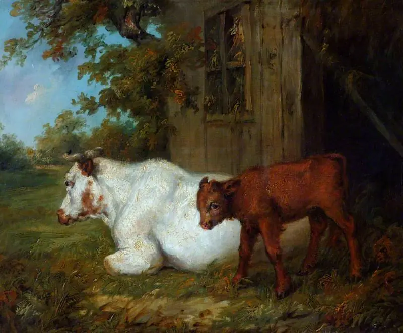 Cow and Calf, by James Ward