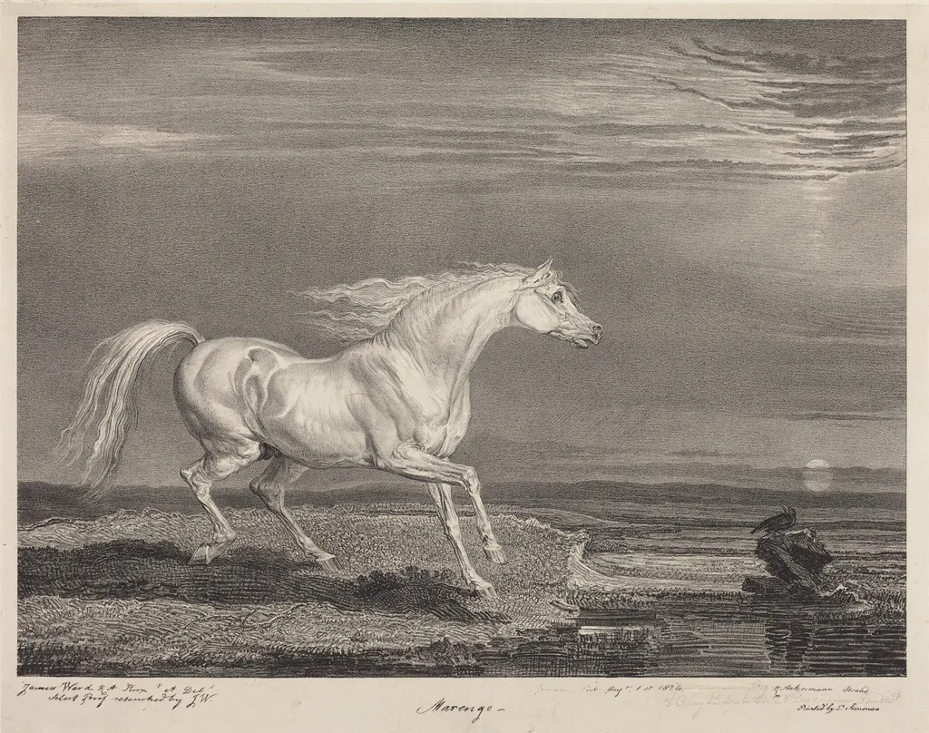 Marengo, by James Ward, ink, 1824