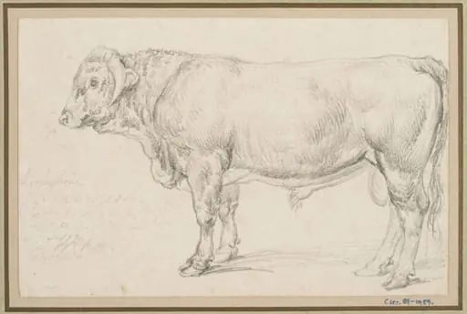 'Mr Cattisal's Shropshire Bull, by James Ward