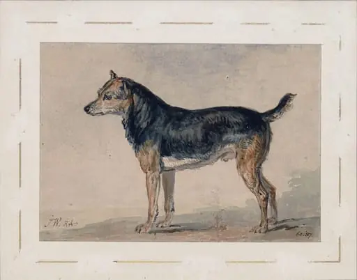 Sketch of a dog, by James Ward