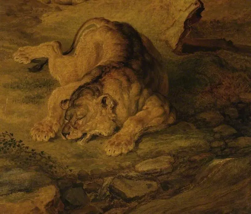 Sleeping lioness, by James Ward
