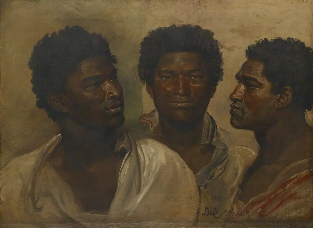 Three Views of the Head of a Native (probably a Sakalava), Madagascar, by James Ward