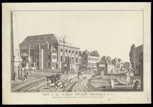 H Beard Print Collection, by James Whittle