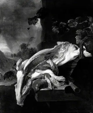 A Pig's Carcase