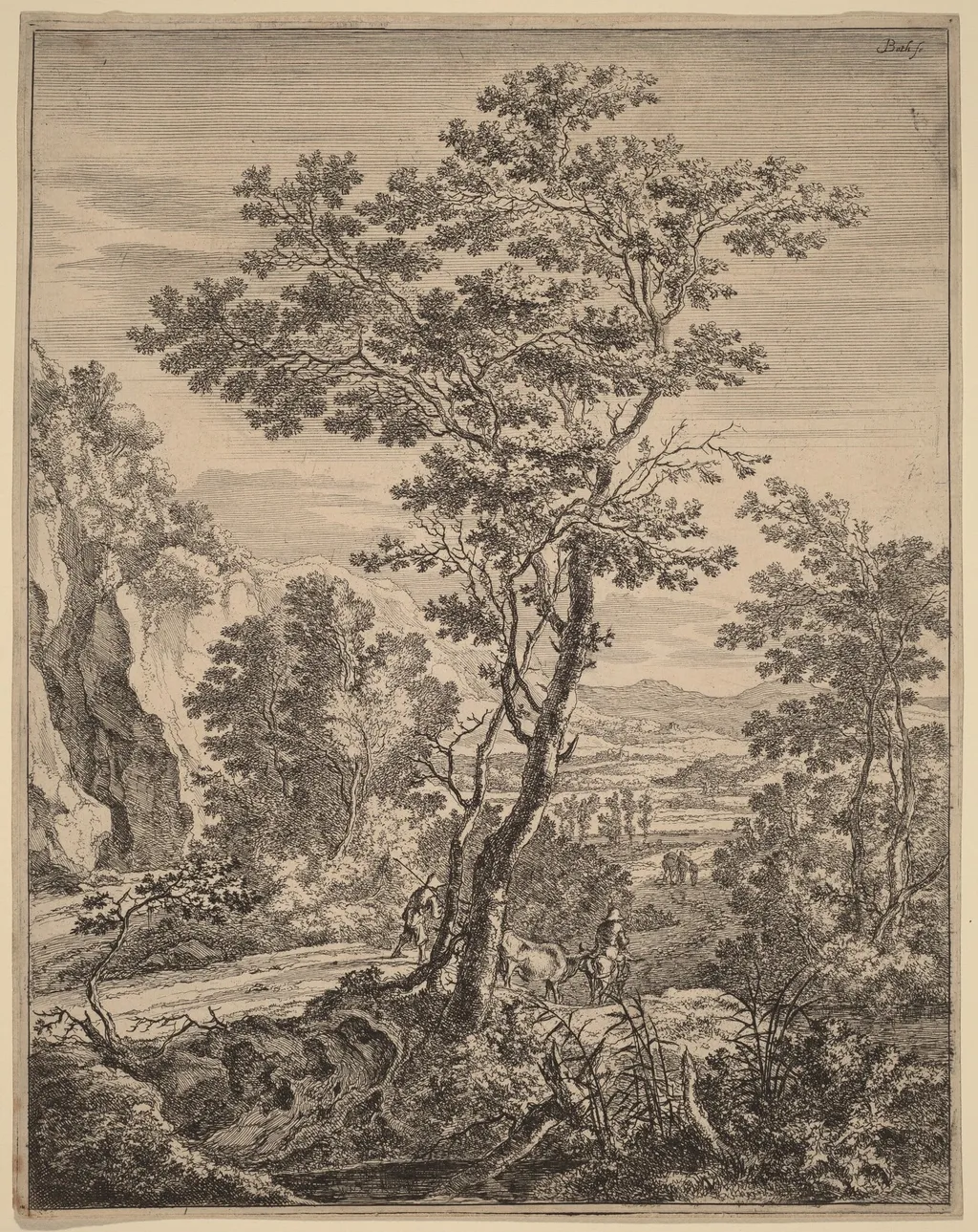 The Large Tree, by Jan Both, ink