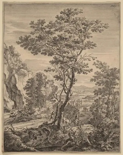 The Large Tree, by Jan Both
