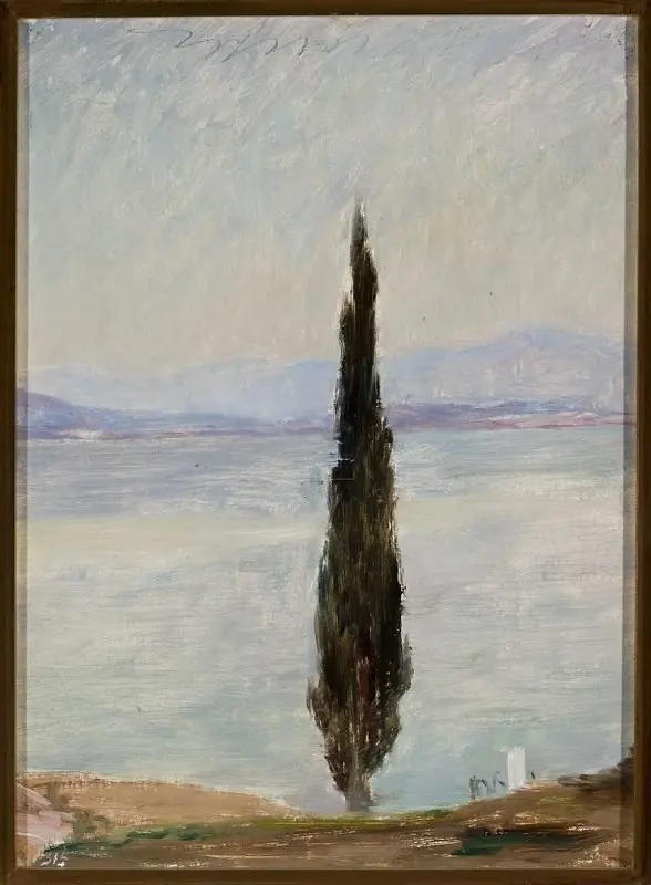 Cypress. From the journey to Constantinople, by Jan Ciągliński